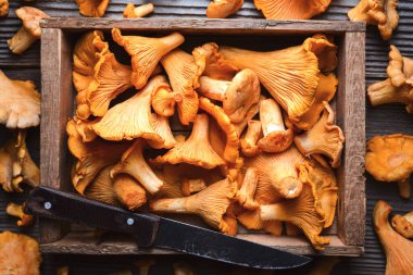 Yukarıdan bakıldığında ahşap tahtada duran mantar yığını. Yaban mantarları, mevsimlik hasat, köy tarzı.