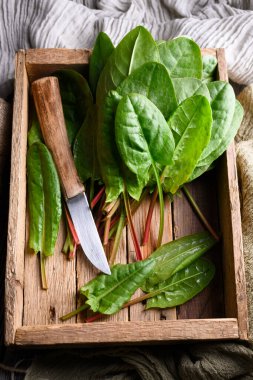 Tahta kutuda bıçakla sergilenen parlak yeşil kuş yaprağı. Sağlıklı yapraklı sebzeler, doğal gıda tasarımı, ev yapımı hasat teması. Düz yatış, üst görünüm