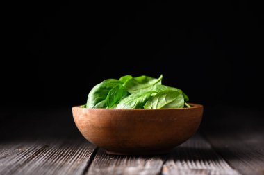 Kırsal ahşap kasede taze ıspanak yaprakları dramatik ışık altında eski ahşap masaya konur. Temiz yemek, taze üretim ve sürdürülebilir yaşam konsepti