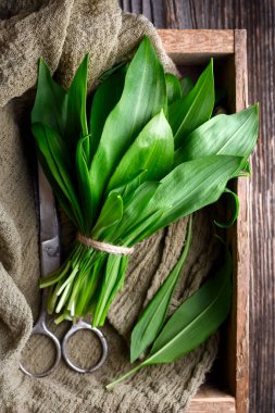 Mutfak makası ile ahşap sandığın içine yerleştirilmiş taze sarımsak paketi. Kırsal mutfak düzeninde yeşil otlar. Düz yatış, üst görünüm