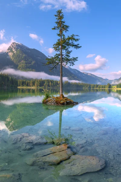 Erstaunlicher sonniger Sommertag — Stockfoto