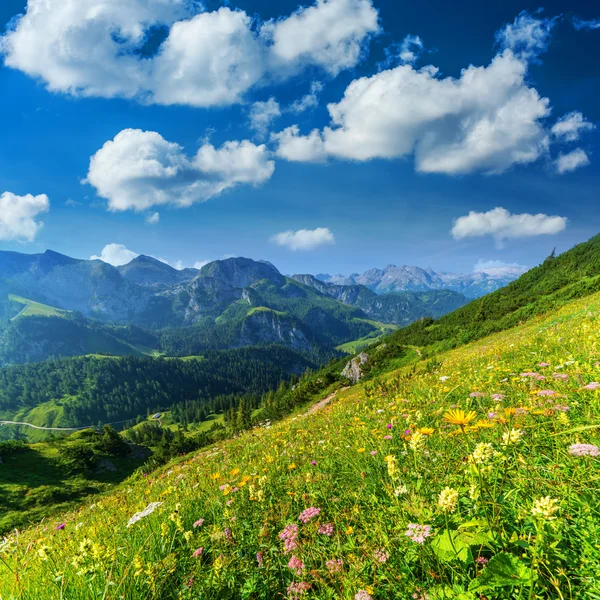 Schöne Aussicht von — Stockfoto