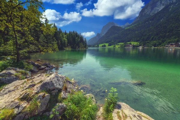 Traumhaft sonniger Sommer — Stockfoto