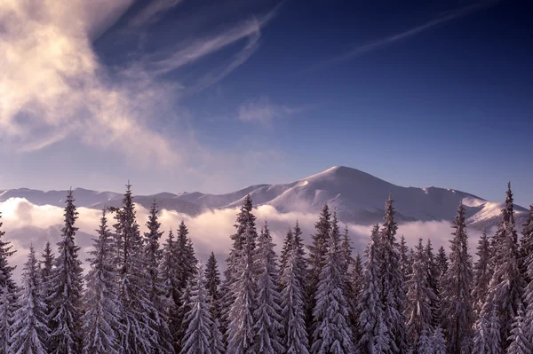 환상적 인 겨울 풍경 — 스톡 사진