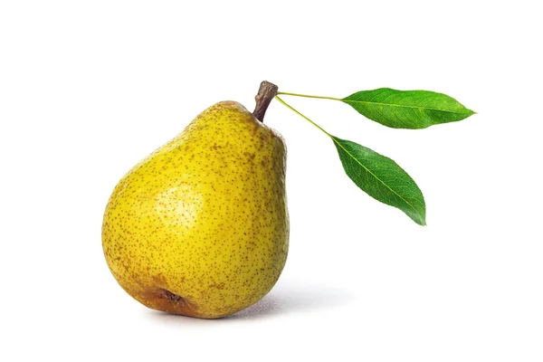 Pear with leaf isolated — Stock Photo, Image