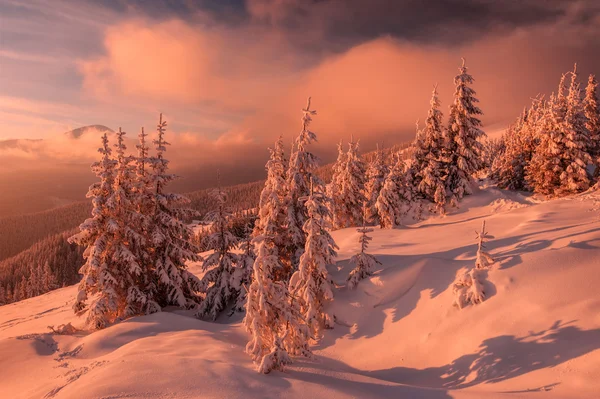 Fantastisk orange kväll landskap — Stockfoto