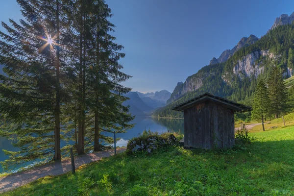 Gosausee close-up — Stockfoto