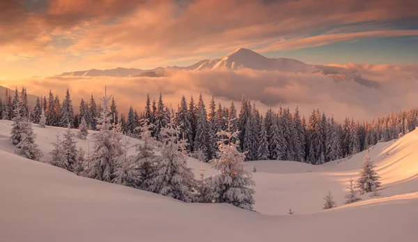 manzara yakın çekim