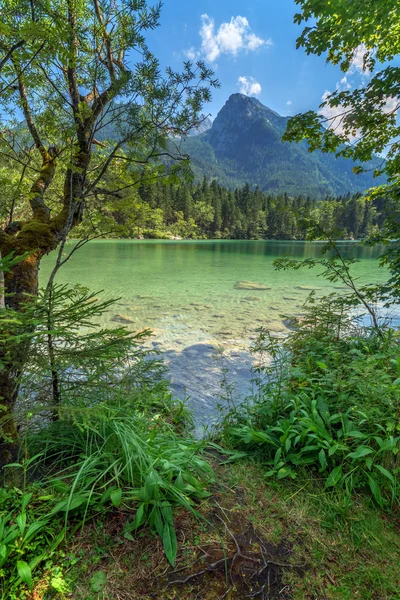 Hintersee close-up — Fotografia de Stock