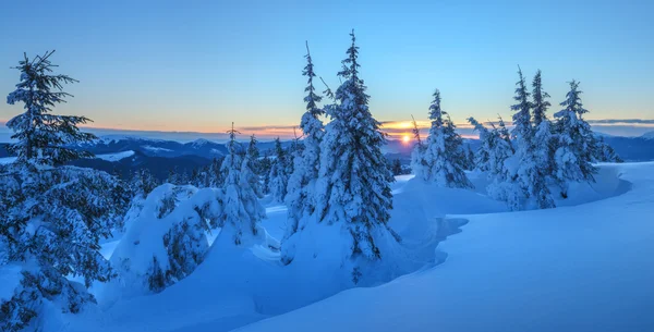 Landskapet på nära håll — Stockfoto