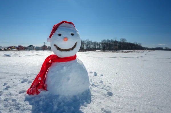 Snowman close up — Stock Photo, Image