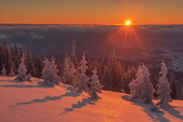 Paesaggio da vicino — Foto Stock