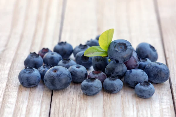 Blaubeere aus nächster Nähe — Stockfoto