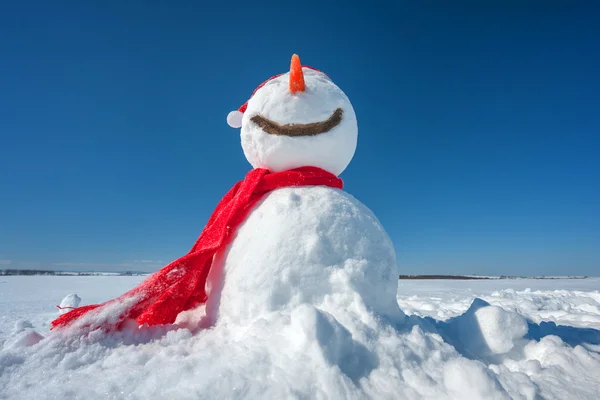 Сніговик крупним планом — стокове фото