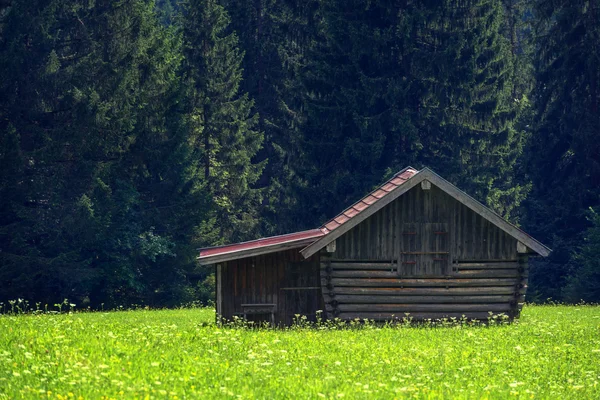 Gosausee de perto — Fotografia de Stock