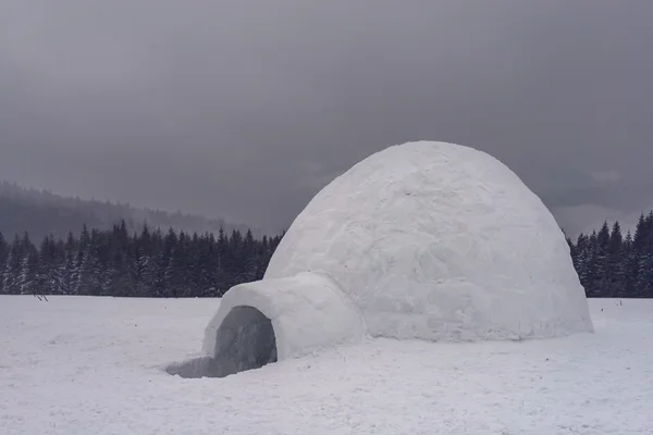 Igloo på nära håll — Stockfoto