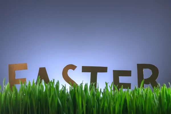 Ostern hautnah — Stockfoto