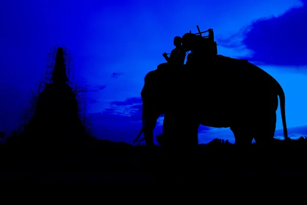 Elephant with pagoda — Stock Photo, Image