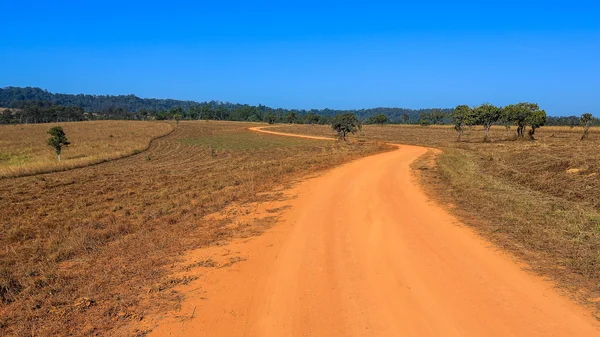 Strada di campagna — Foto Stock