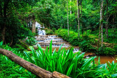 Tropikal yağmur ormanlarında şelale