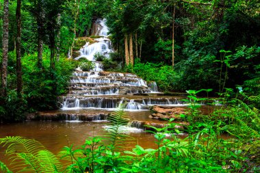 Tropikal yağmur ormanlarında şelale