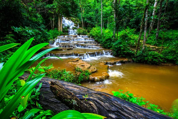 Cascada en la selva tropical — Foto de Stock