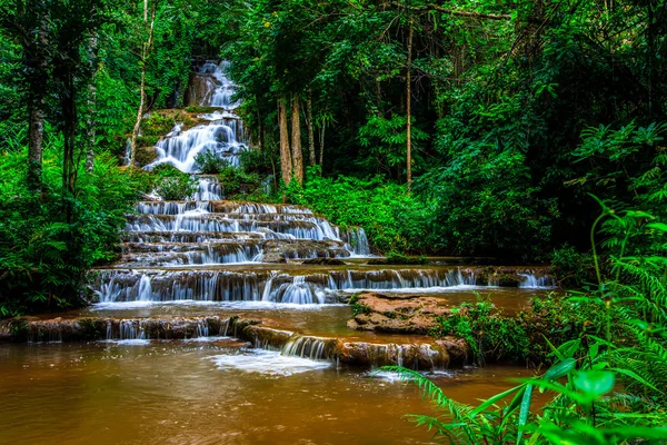 Cascada en la selva tropical — Foto de Stock