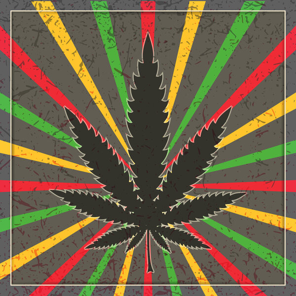 Cannabis leaf on grunge background.