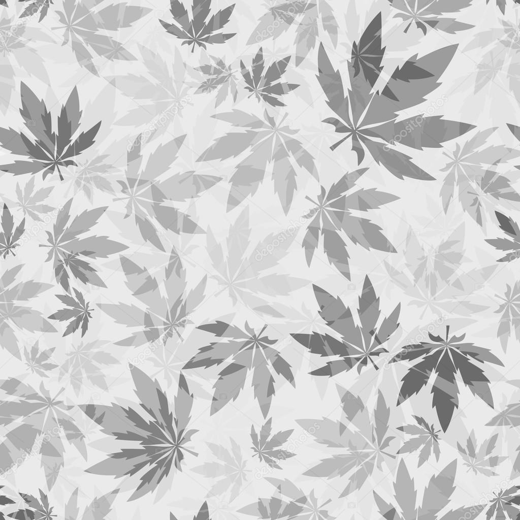 Cannabis leafs