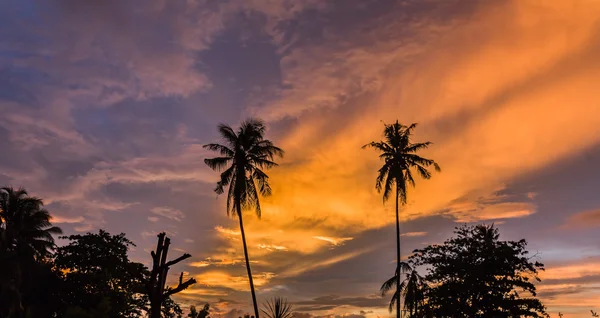 Tropiska sunrise molnlandskap med palm träd silhouette — Stockfoto