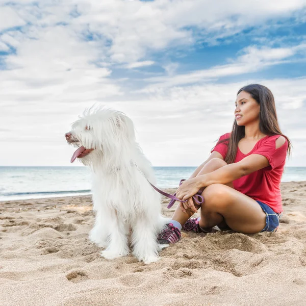 Genç bir kadın ile köpek yürüyüş — Stok fotoğraf