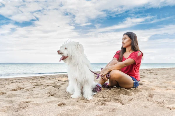 Genç bir kadın ile köpek yürüyüş — Stok fotoğraf