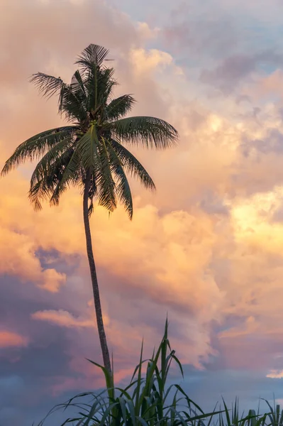 Tropisk solnedgång himlen — Stockfoto
