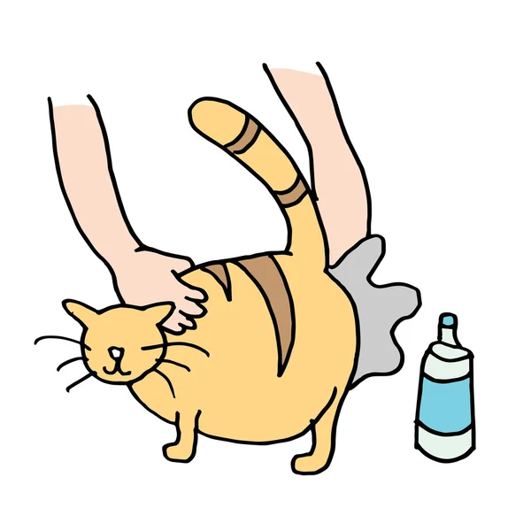 Человек чистит толстых кошек сзади — стоковый вектор