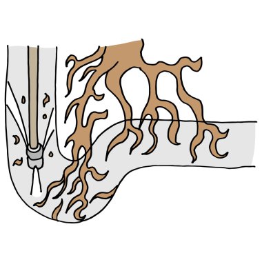 Ağaç kökleri bir boru tıkanma