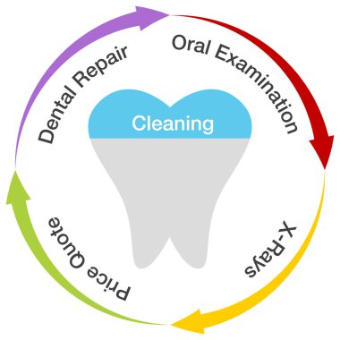 Dental Chart clipart