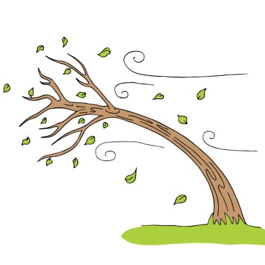 Rüzgar Tree üflenir