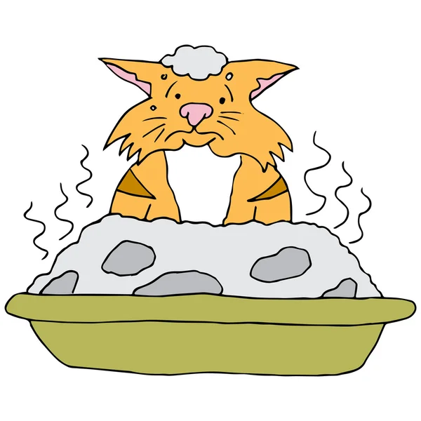 Plné kočka humus — Stockový vektor