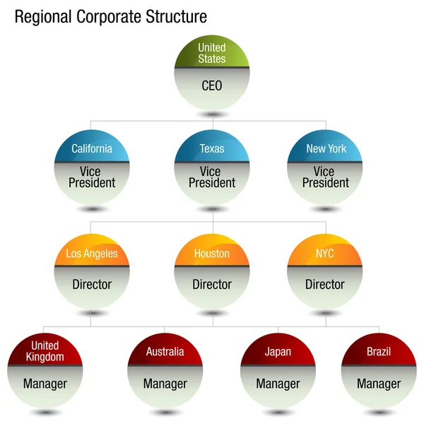 区域组织结构图 — 图库矢量图片