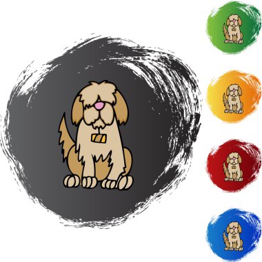 Saint Bernard web simgesi