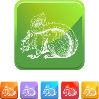 Sincap web düğmesi