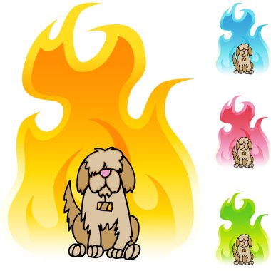 Saint Bernard web simgesi