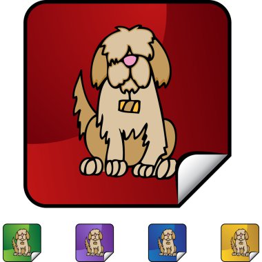 Saint Bernard web simgesi