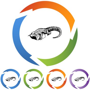 Timsah web düğmesi