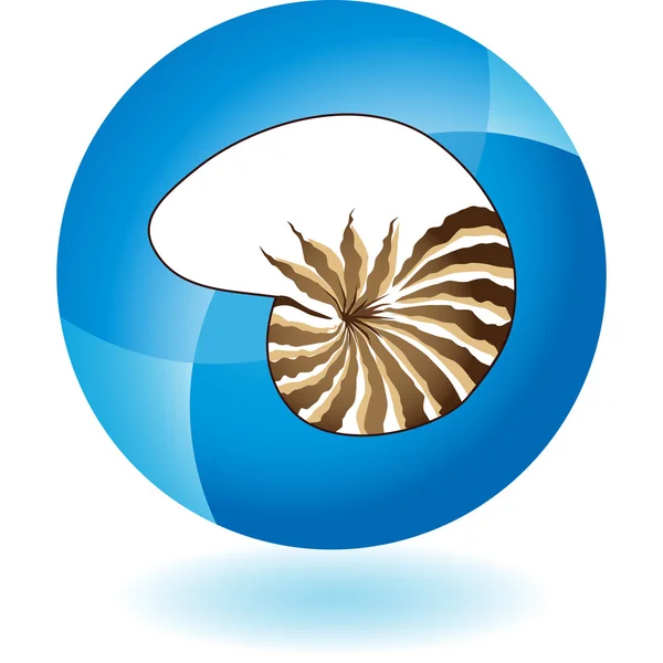 Icona web Seashell — Vettoriale Stock