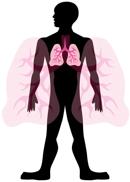 Lung Man บนสีขาว — ภาพเวกเตอร์สต็อก
