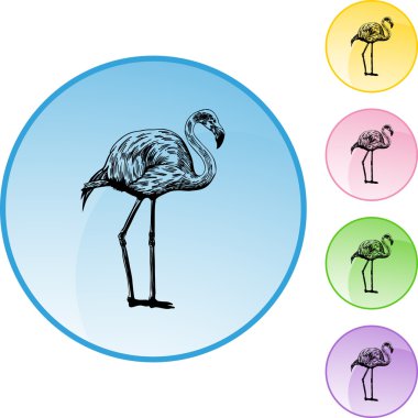 Pembe Flamingo web simgesi