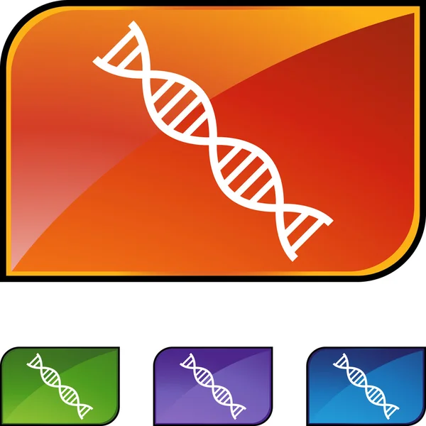 DNA Strand icono web — Archivo Imágenes Vectoriales