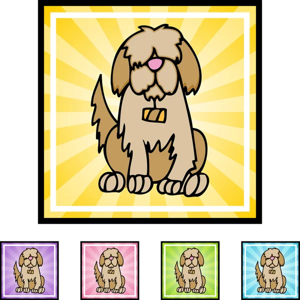 Saint Bernard web icon — Stock Vector