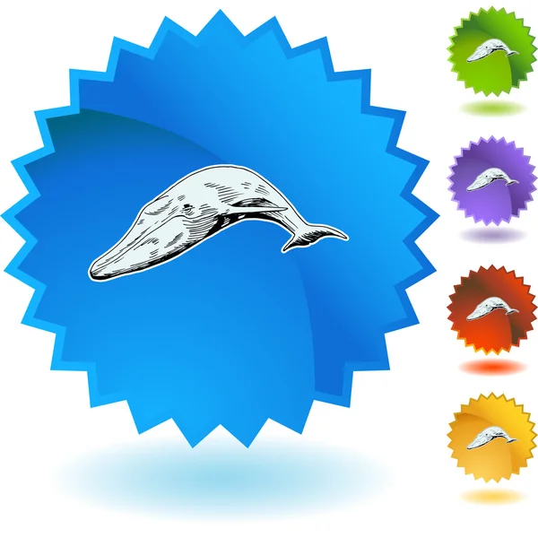 Whale web  button — Stock Vector